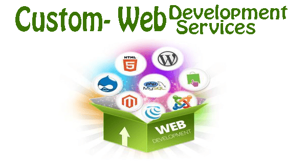 Custom Web Development Services