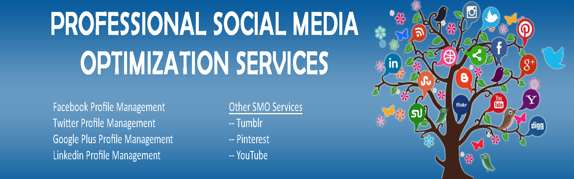 SMO Page Banner SMO Page Banner
