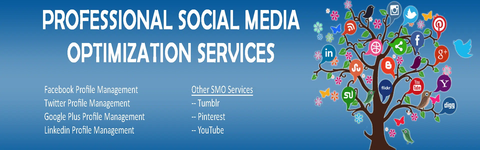SMO Page Banner