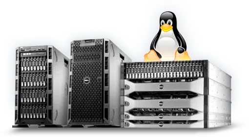 Linux Dedicated Server