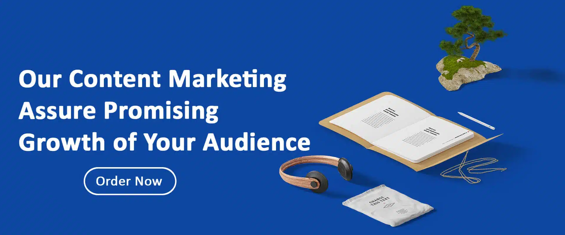 Content Writing Raj Softech Content Writing Raj Softech